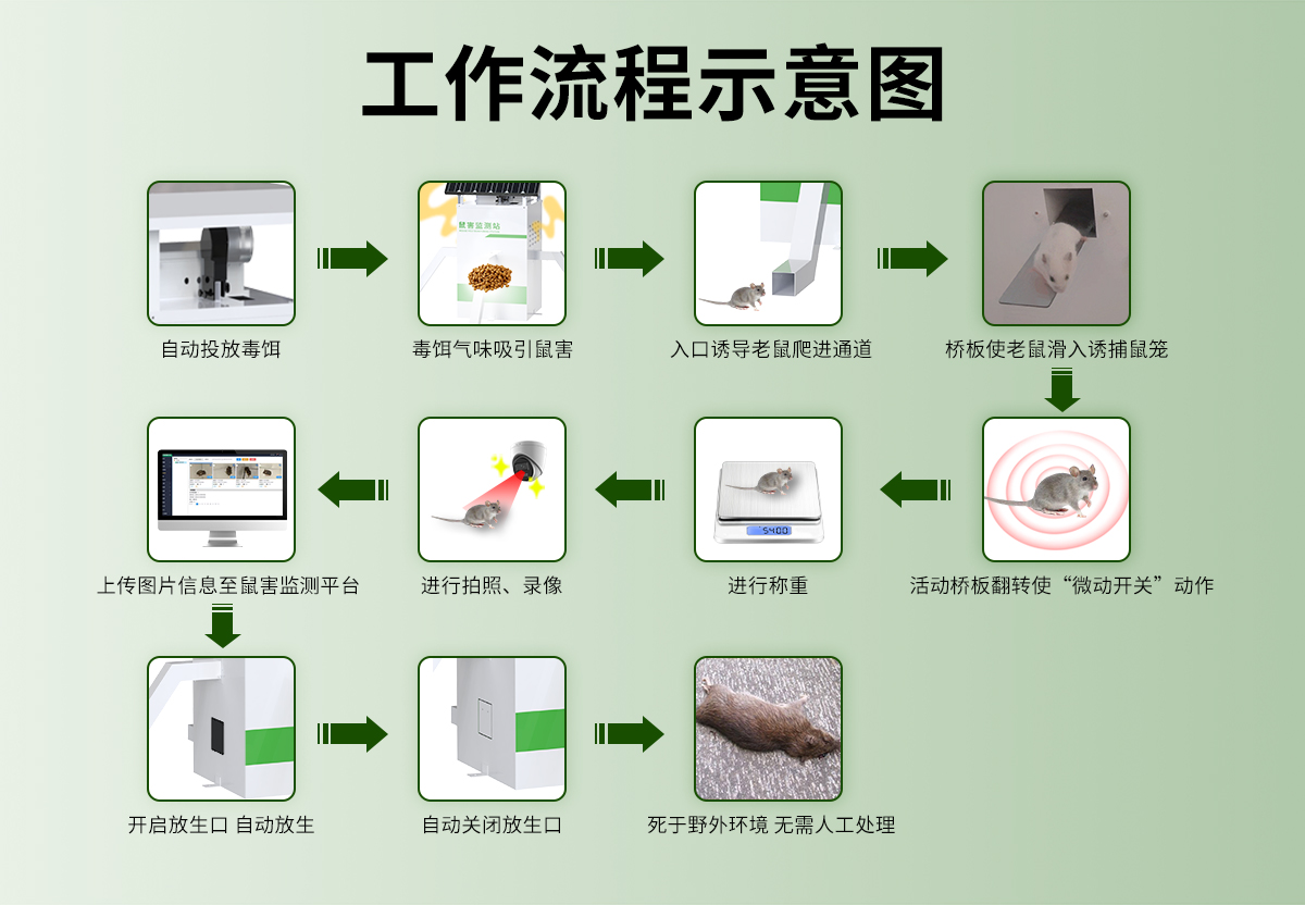 鼠害監測站_04.jpg