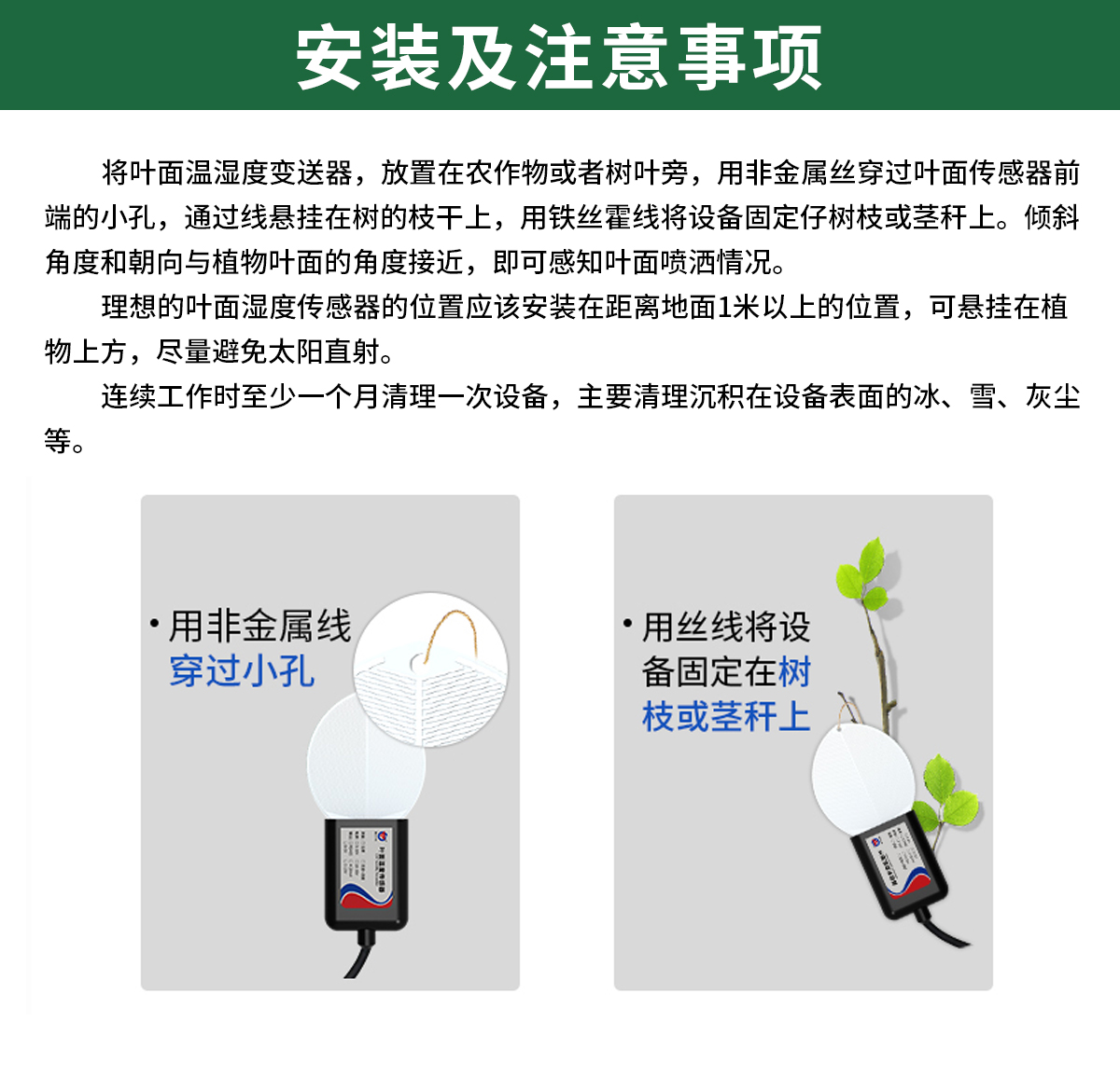 葉面溫濕度_04.jpg