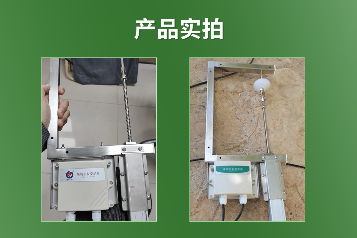 果實(shí)生長變送器_03.jpg
